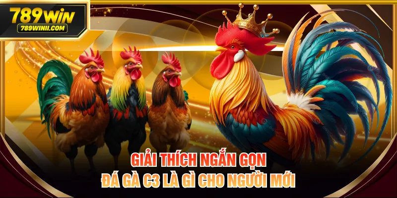 Giải thích ngắn gọn đá gà C3 là gì cho người mới